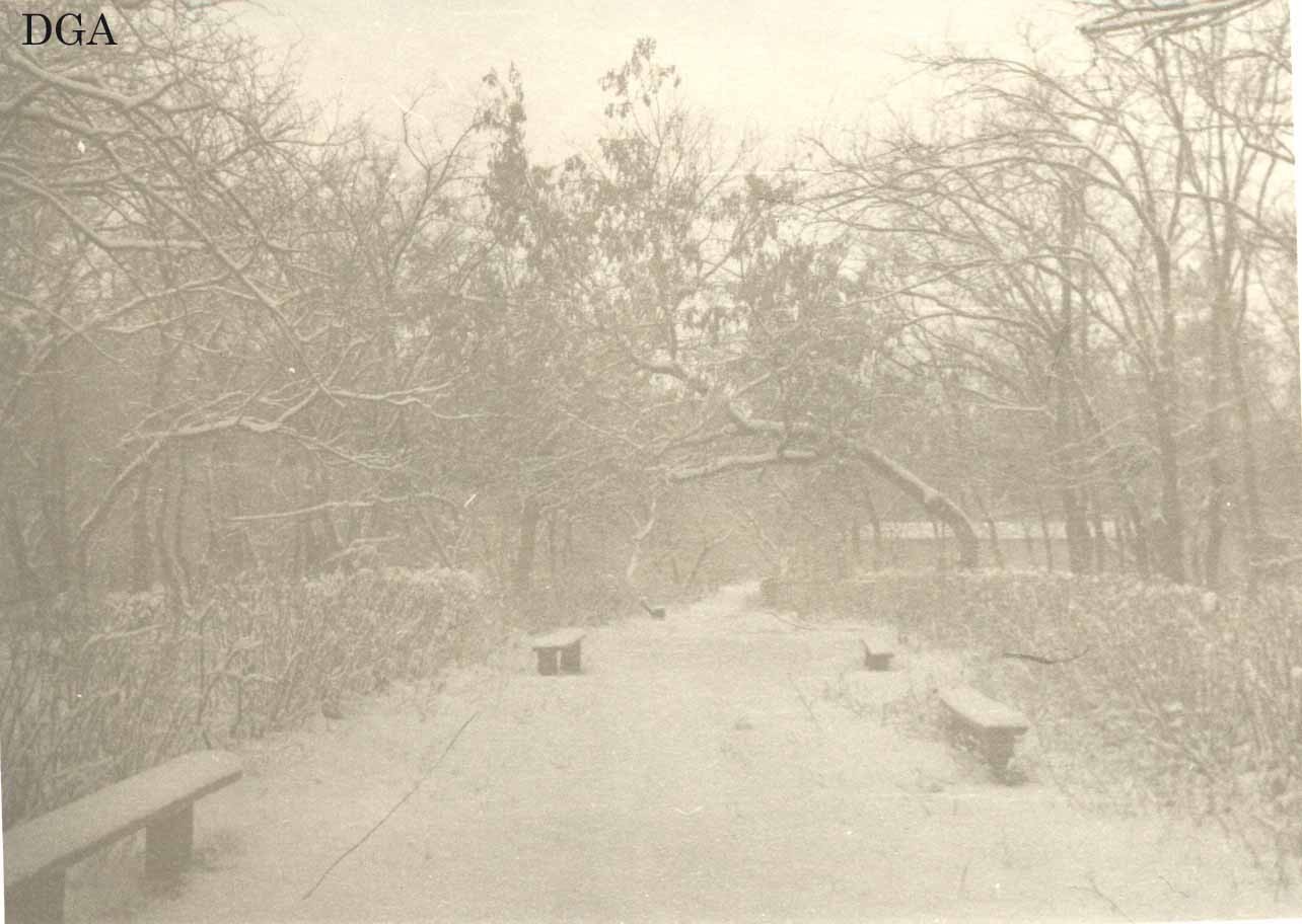 Парк